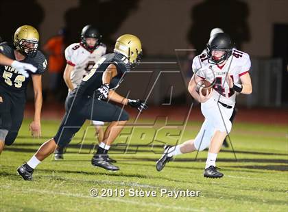 Thumbnail 3 in Paradise Valley @ Verrado photogallery.