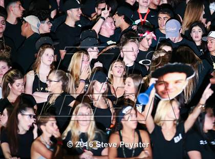 Thumbnail 3 in Paradise Valley @ Verrado photogallery.