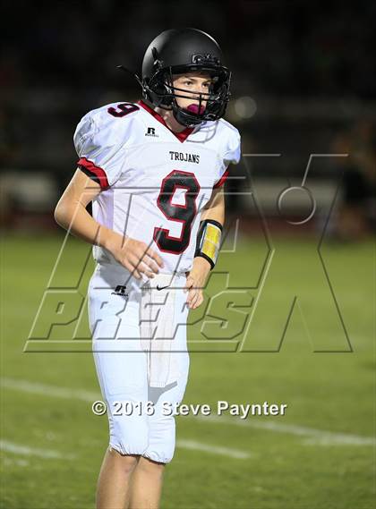 Thumbnail 3 in Paradise Valley @ Verrado photogallery.