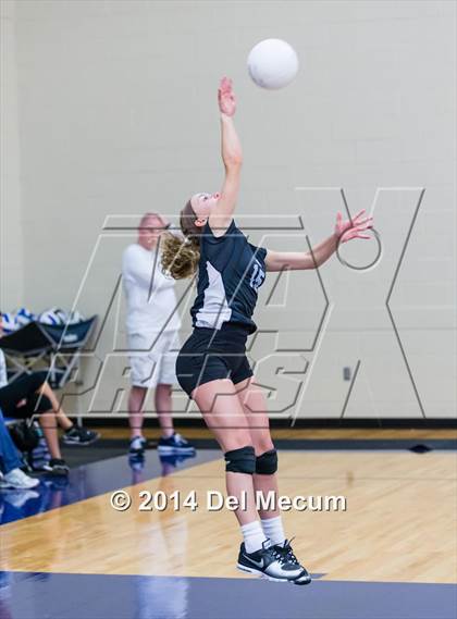 Thumbnail 1 in Mercy vs. Fort Meyers (Berkeley Premier) photogallery.