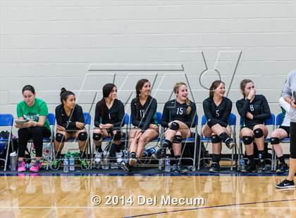 Thumbnail 1 in Mercy vs. Fort Meyers (Berkeley Premier) photogallery.