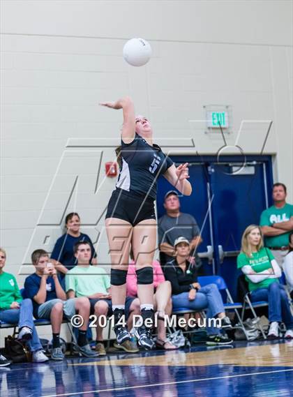 Thumbnail 2 in Mercy vs. Fort Meyers (Berkeley Premier) photogallery.