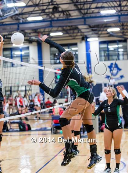 Thumbnail 2 in Mercy vs. Fort Meyers (Berkeley Premier) photogallery.