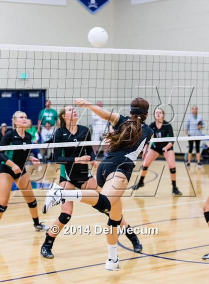 Thumbnail 1 in Mercy vs. Fort Meyers (Berkeley Premier) photogallery.