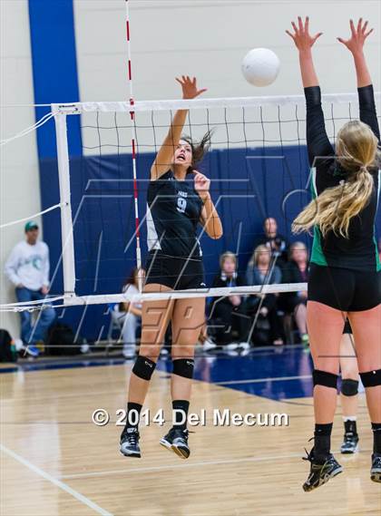 Thumbnail 2 in Mercy vs. Fort Meyers (Berkeley Premier) photogallery.