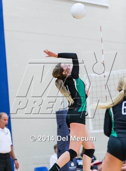 Thumbnail 3 in Mercy vs. Fort Meyers (Berkeley Premier) photogallery.