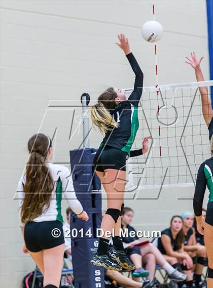 Thumbnail 2 in Mercy vs. Fort Meyers (Berkeley Premier) photogallery.
