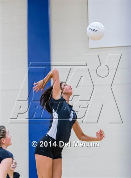 Thumbnail 2 in Mercy vs. Fort Meyers (Berkeley Premier) photogallery.