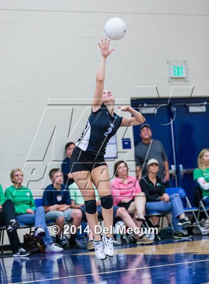 Thumbnail 1 in Mercy vs. Fort Meyers (Berkeley Premier) photogallery.