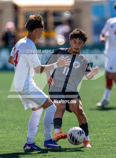 null - Photo 31