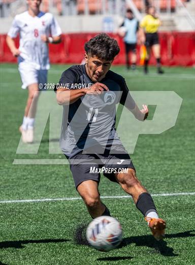 null - Photo 41