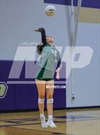 Photo from the gallery "Pine Crest vs. North Broward Prep"