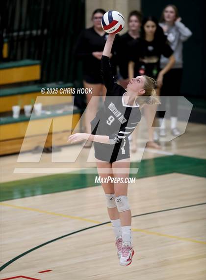 Thumbnail 3 in Mountain View vs Canyon del Oro (AIA 5A Conference Play-In) photogallery.