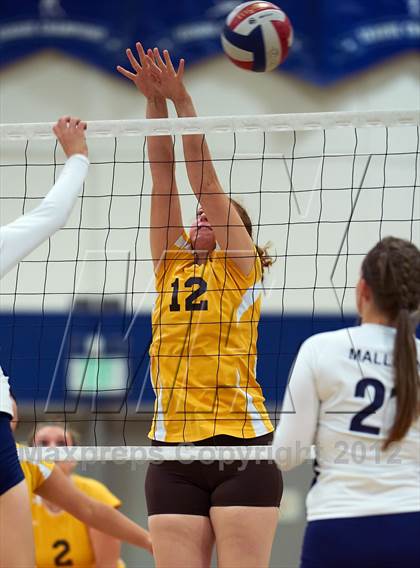 Thumbnail 1 in Gunderson @ Branham photogallery.