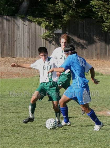 Thumbnail 1 in El Dorado @ Ponderosa photogallery.