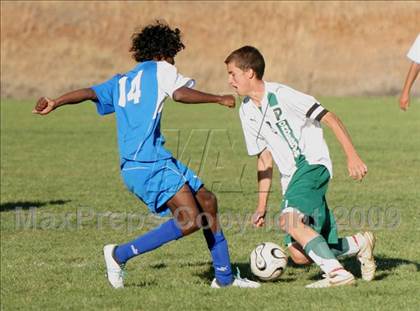 Thumbnail 1 in El Dorado @ Ponderosa photogallery.