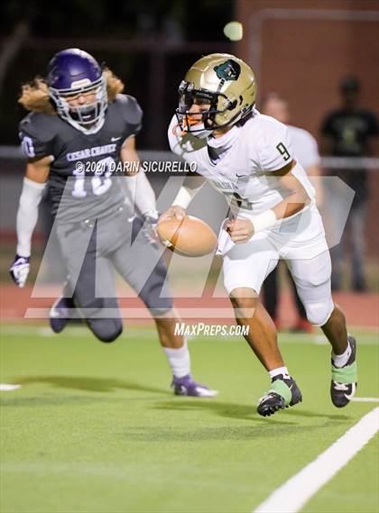 Thumbnail 3 in Basha @ Cesar Chavez photogallery.
