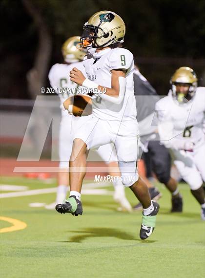 Thumbnail 1 in Basha @ Cesar Chavez photogallery.