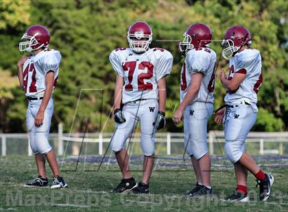 Thumbnail 1 in Morristwon-Hamblem West @ Sevier County photogallery.