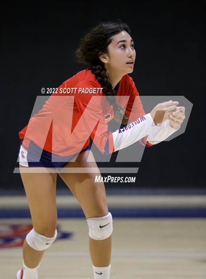 Thumbnail 1 in Santiago @ Great Oak photogallery.