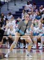 Photo from the gallery "Santiago @ Great Oak"