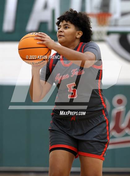 Thumbnail 3 in Ironwood vs Agua Fria (Mountain Ridge Girls Basketball Invitational) photogallery.