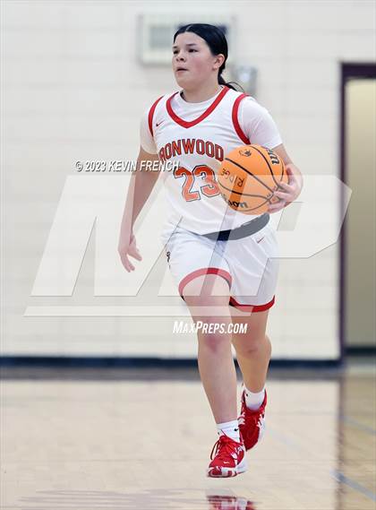 Thumbnail 3 in Ironwood vs Agua Fria (Mountain Ridge Girls Basketball Invitational) photogallery.