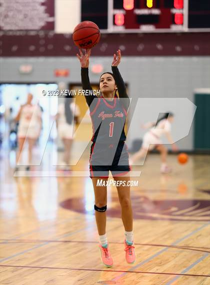 Thumbnail 2 in Ironwood vs Agua Fria (Mountain Ridge Girls Basketball Invitational) photogallery.