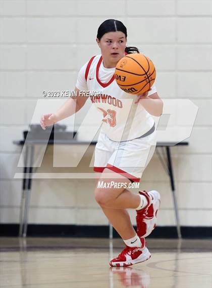 Thumbnail 2 in Ironwood vs Agua Fria (Mountain Ridge Girls Basketball Invitational) photogallery.