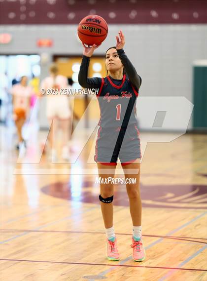 Thumbnail 3 in Ironwood vs Agua Fria (Mountain Ridge Girls Basketball Invitational) photogallery.