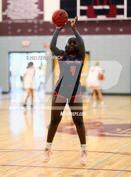 Thumbnail 2 in Ironwood vs Agua Fria (Mountain Ridge Girls Basketball Invitational) photogallery.