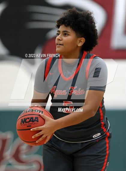 Thumbnail 1 in Ironwood vs Agua Fria (Mountain Ridge Girls Basketball Invitational) photogallery.