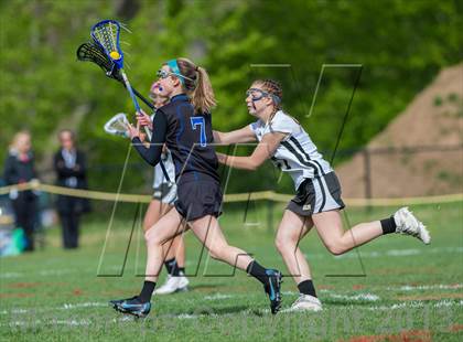 Thumbnail 1 in Bunnell @ Joel Barlow photogallery.