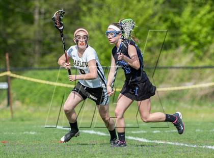 Thumbnail 1 in Bunnell @ Joel Barlow photogallery.
