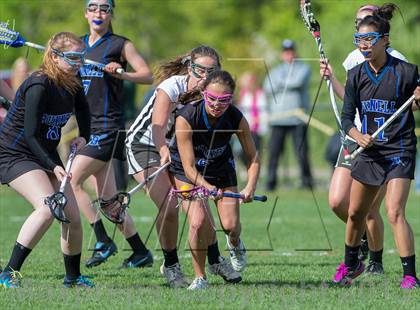 Thumbnail 3 in Bunnell @ Joel Barlow photogallery.