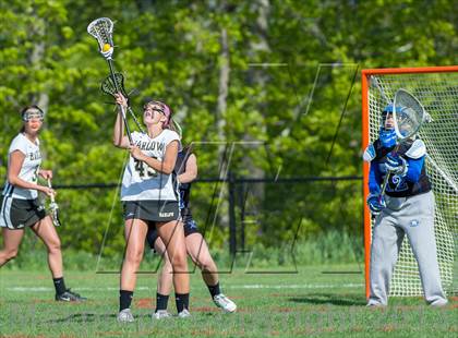 Thumbnail 2 in Bunnell @ Joel Barlow photogallery.