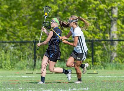 Thumbnail 1 in Bunnell @ Joel Barlow photogallery.