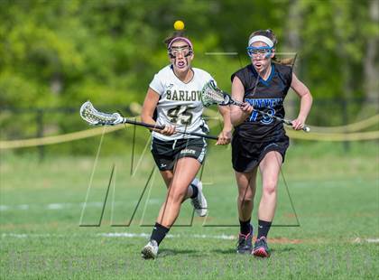 Thumbnail 2 in Bunnell @ Joel Barlow photogallery.