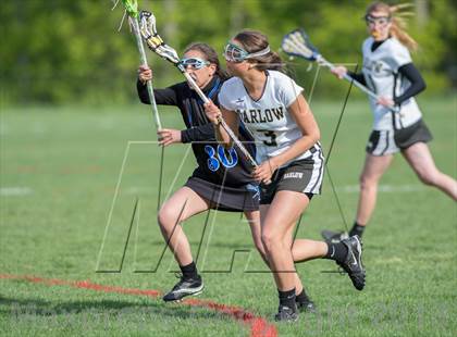 Thumbnail 3 in Bunnell @ Joel Barlow photogallery.