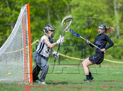 Thumbnail 1 in Bunnell @ Joel Barlow photogallery.