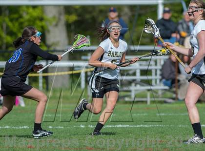 Thumbnail 2 in Bunnell @ Joel Barlow photogallery.