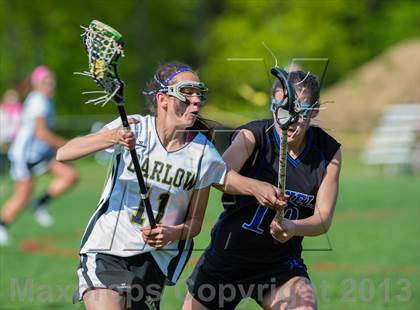 Thumbnail 1 in Bunnell @ Joel Barlow photogallery.
