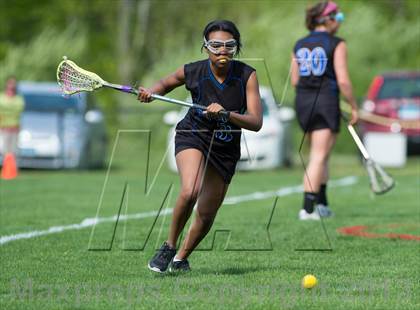 Thumbnail 2 in Bunnell @ Joel Barlow photogallery.