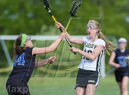 Thumbnail 1 in Bunnell @ Joel Barlow photogallery.