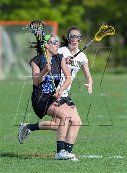 Thumbnail 1 in Bunnell @ Joel Barlow photogallery.
