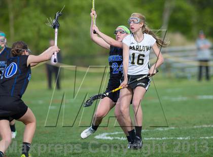 Thumbnail 3 in Bunnell @ Joel Barlow photogallery.