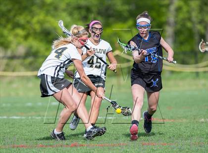 Thumbnail 1 in Bunnell @ Joel Barlow photogallery.