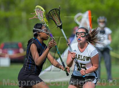 Thumbnail 2 in Bunnell @ Joel Barlow photogallery.