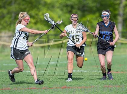 Thumbnail 3 in Bunnell @ Joel Barlow photogallery.
