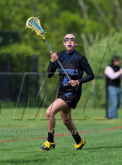 Thumbnail 3 in Bunnell @ Joel Barlow photogallery.
